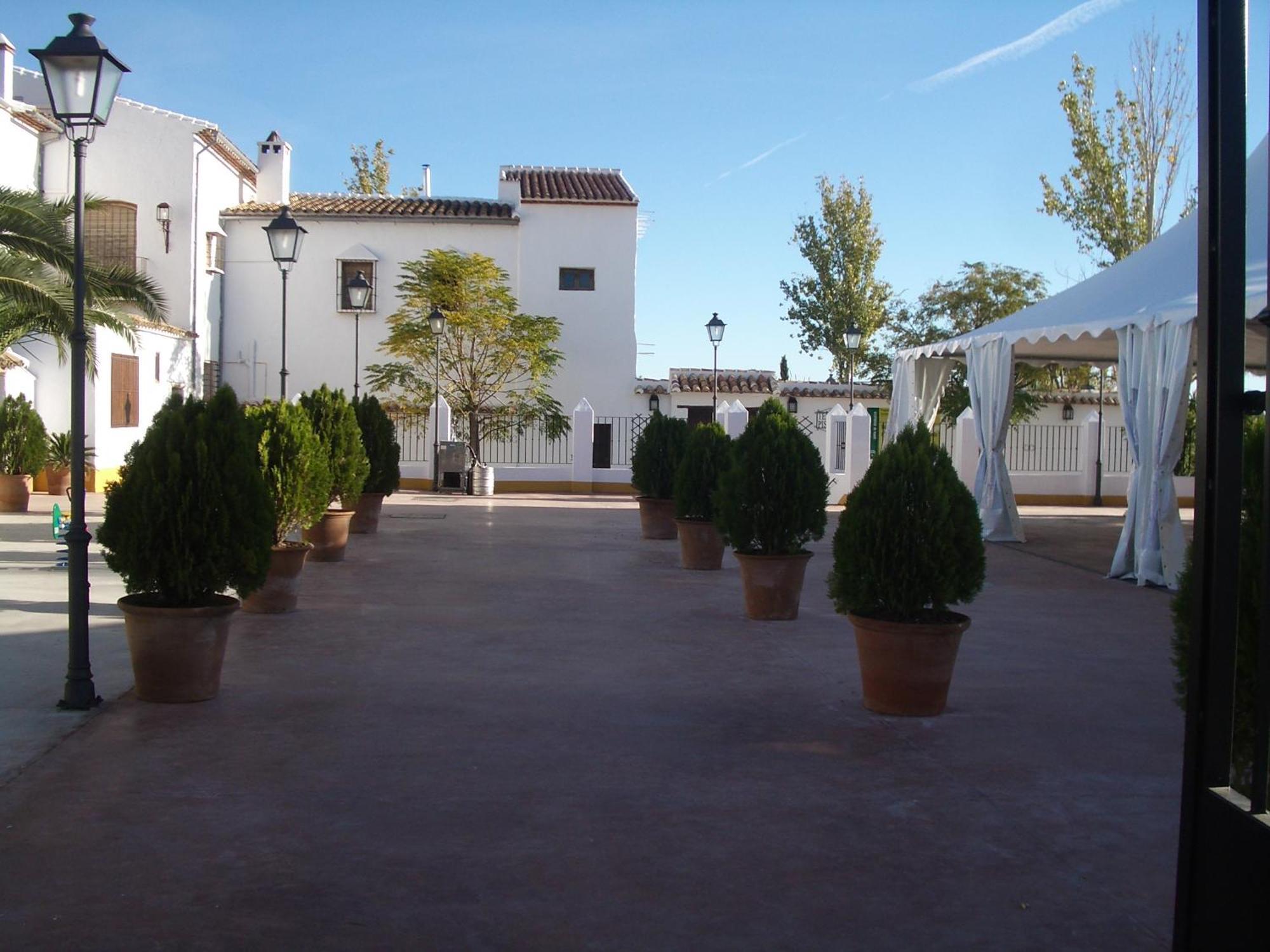 Alameda Posada De Jose Mª El Tempranillo מראה חיצוני תמונה